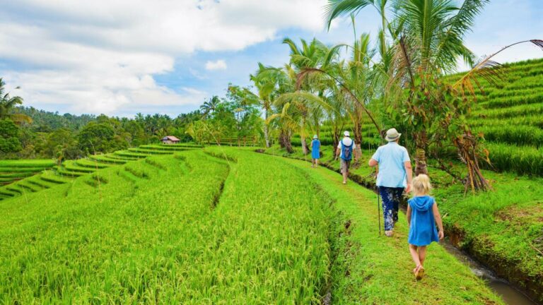 Que faire à Bali Top 10 des activités incontournables à faire à Bali