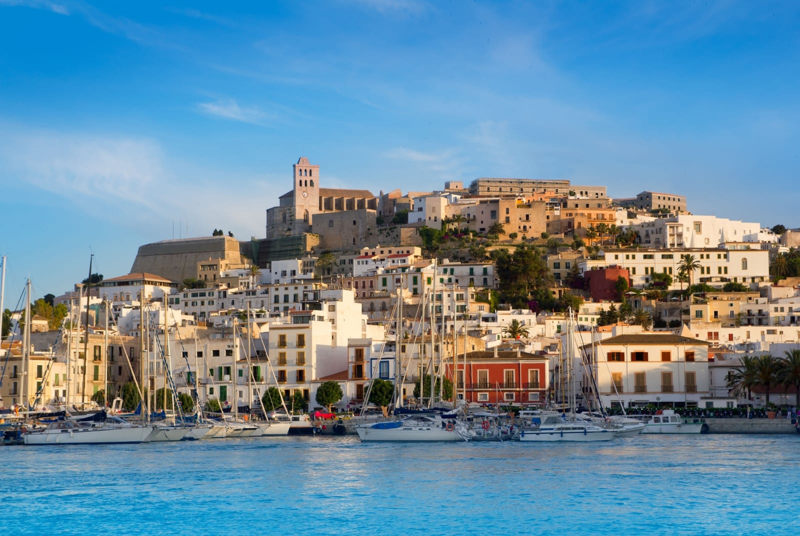 que faire a ibiza