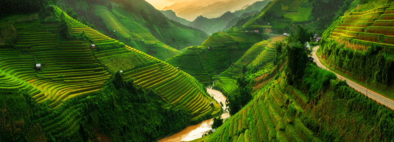 que faire au vietnam