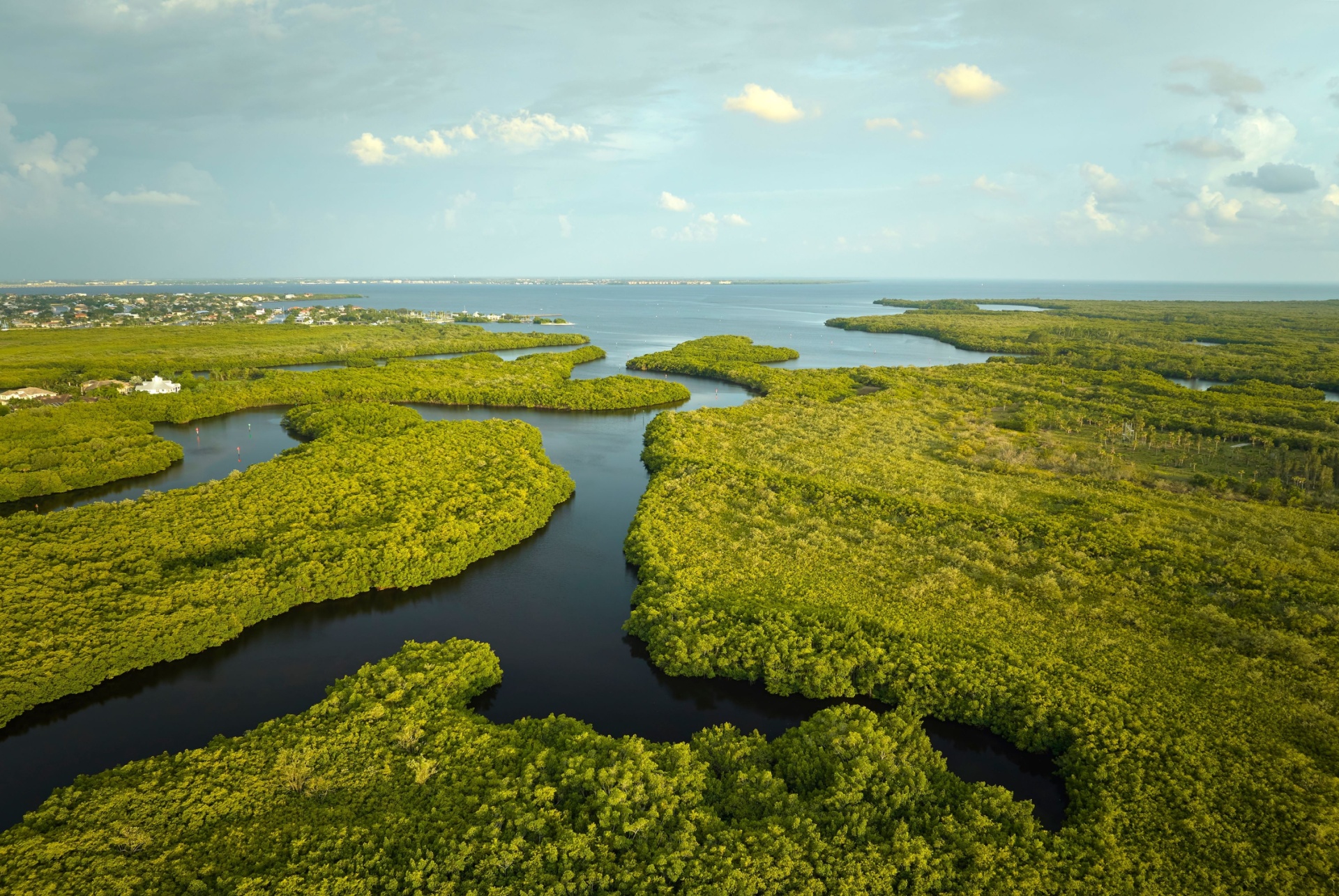 everglades quand partir miami