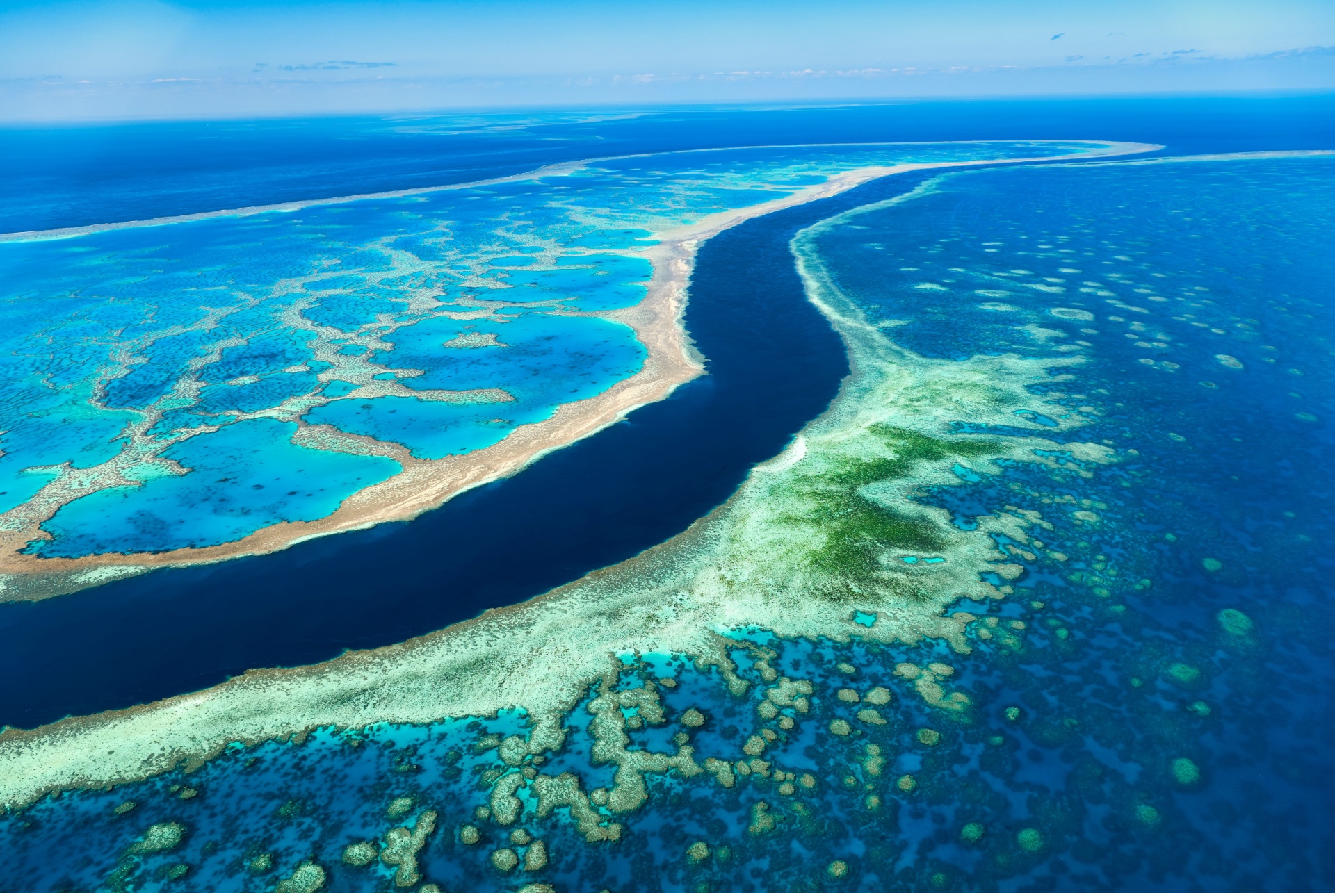 grande barriere de corail australie