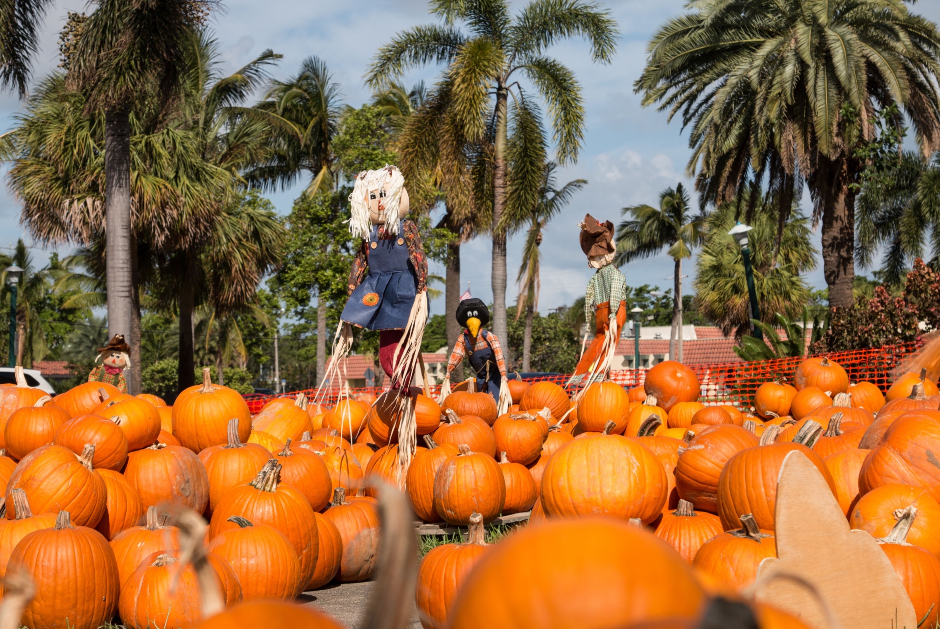 halloween miami