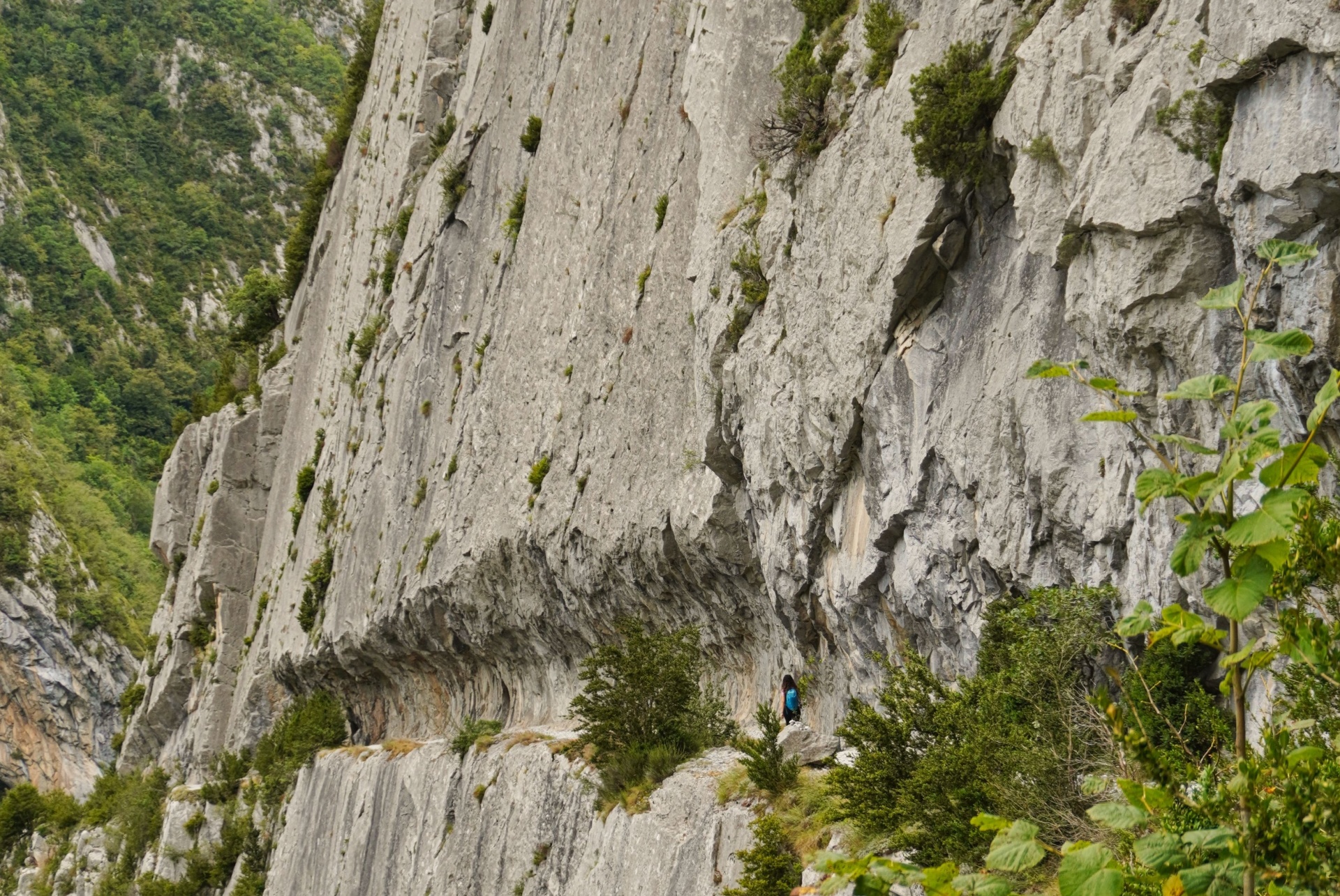 le chemin de la mature