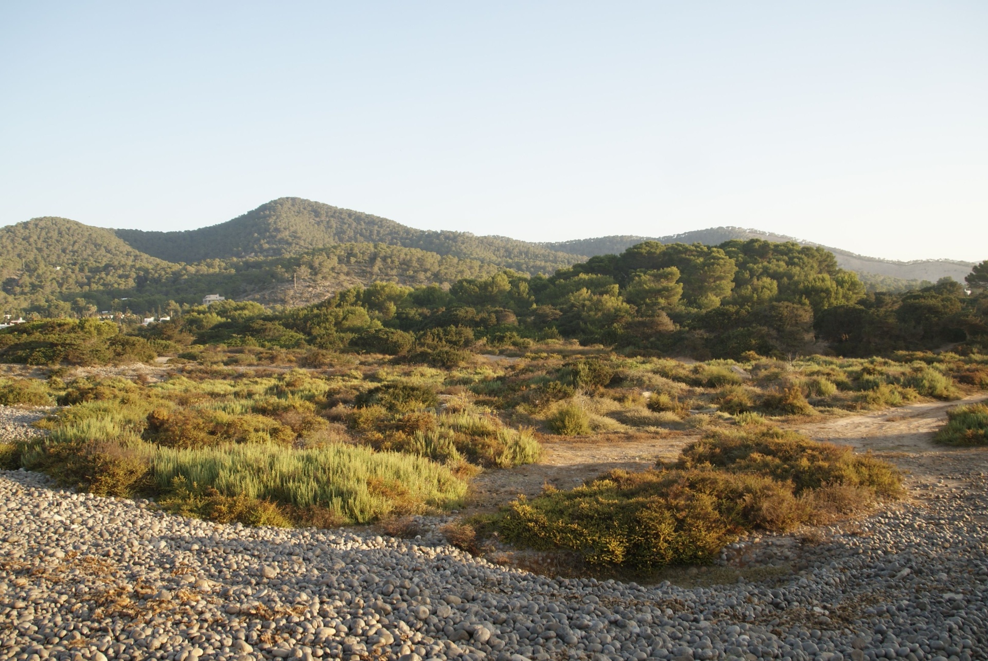 parc ses salines ibiza