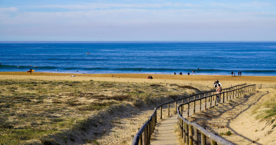 que faire a hossegor