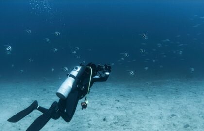 spots de plongee sous marine