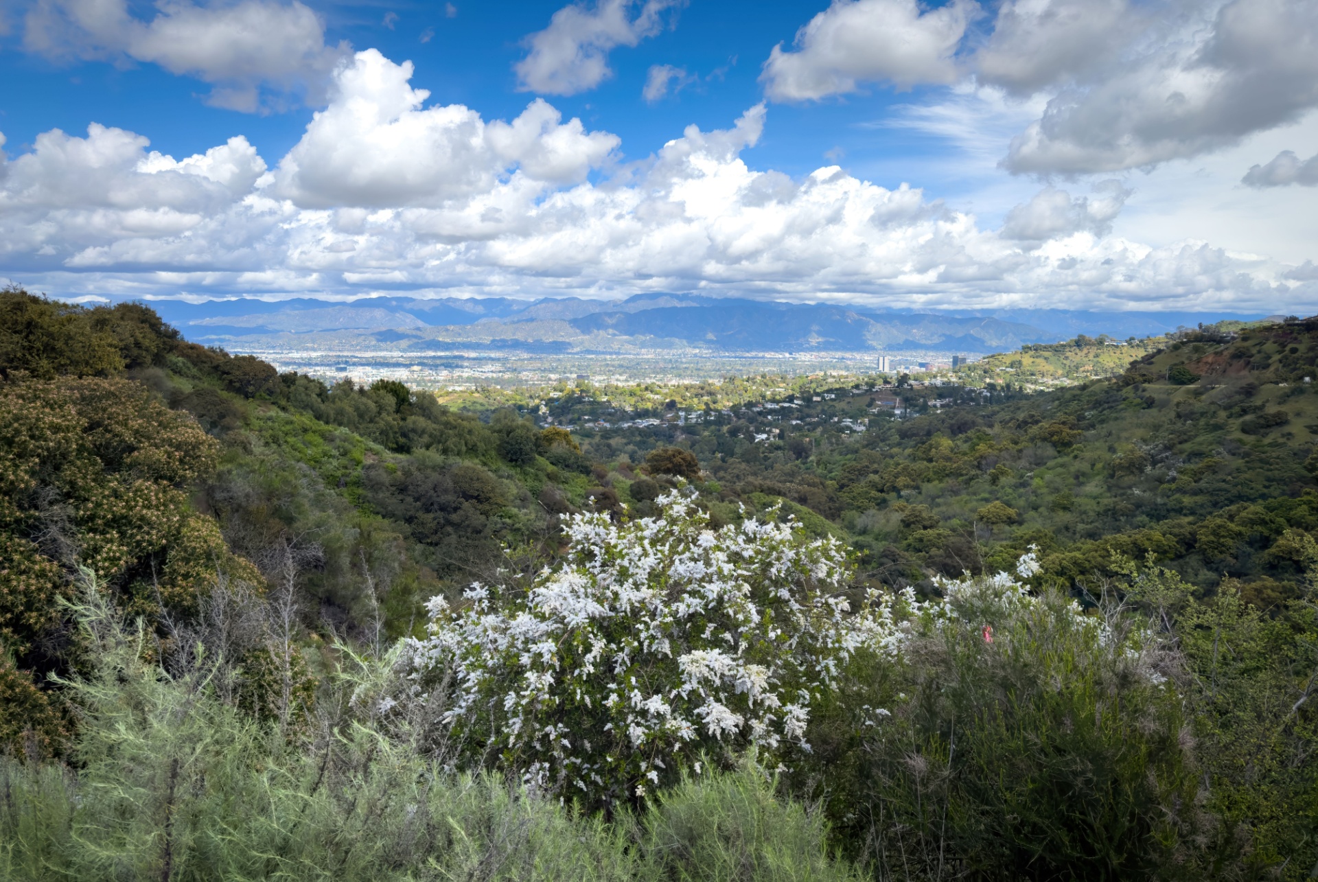 vue panoramique sur la vallee de san fernando