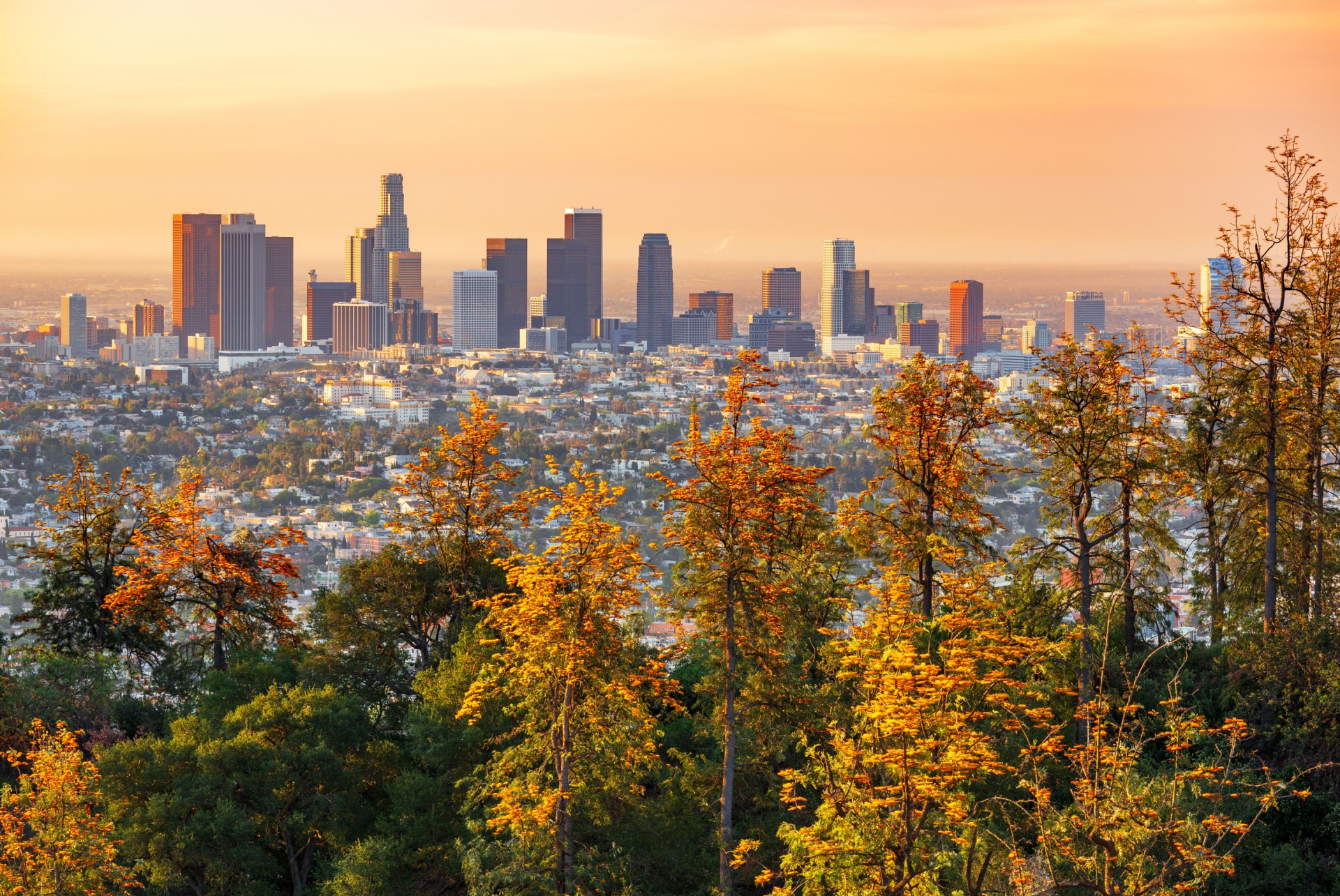 vue sur los angeles en automne